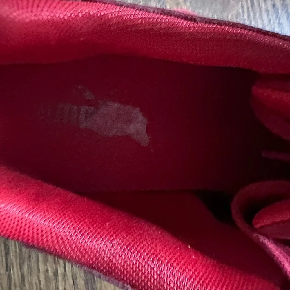 Puma gigante lo